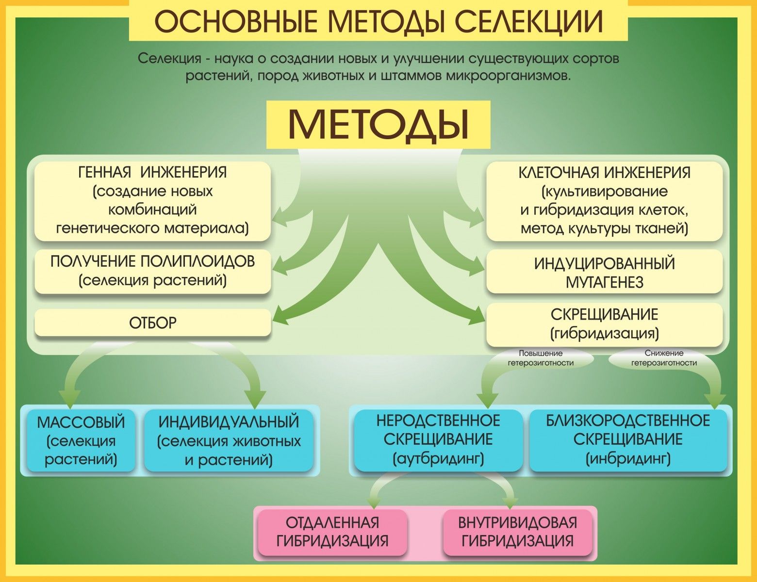 Методы биотехнологии схема