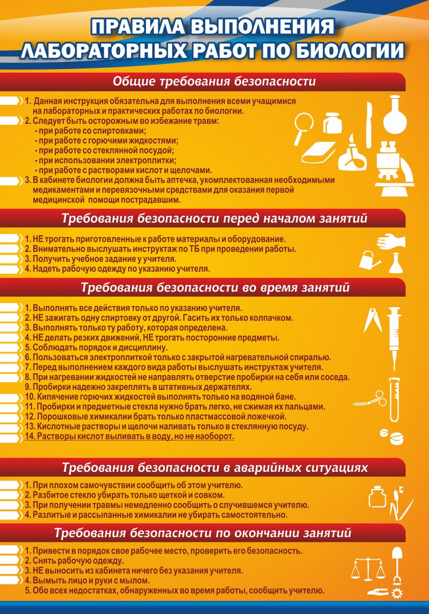 Виды лабораторных работ по биологии. Правила выполнения лабораторных работ по биологии. Правила выполнения лабораторной работы. Правило проведения лабораторных работ по биологии. Правила работы в кабинете биологии.