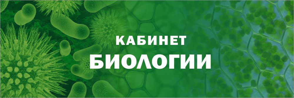 Биология точки. Кабинет биологии табличка. Кабинет биологии надпись. Кабинет биологии табли. Кабинет биологии табличка на дверь.