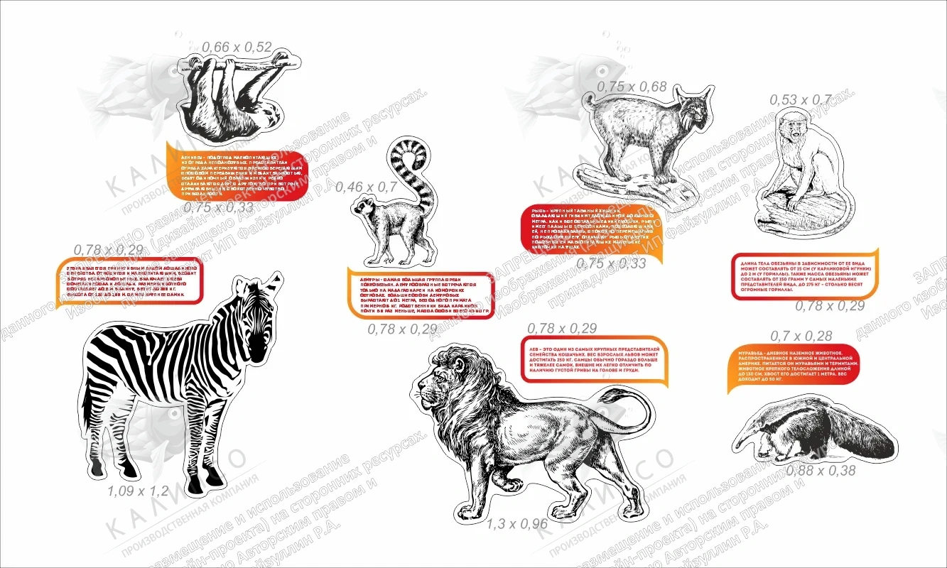 Комплект для оформления кабинета биологии №1 арт. ШК-02220