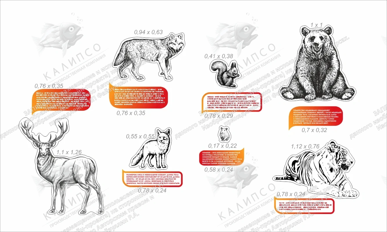 Комплект для оформления кабинета биологии №2 арт. ШК-02221
