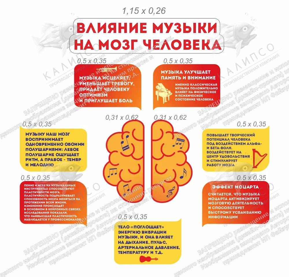 Комплект стендов "Влияние музыки на мозг человека" арт. ШК-3951