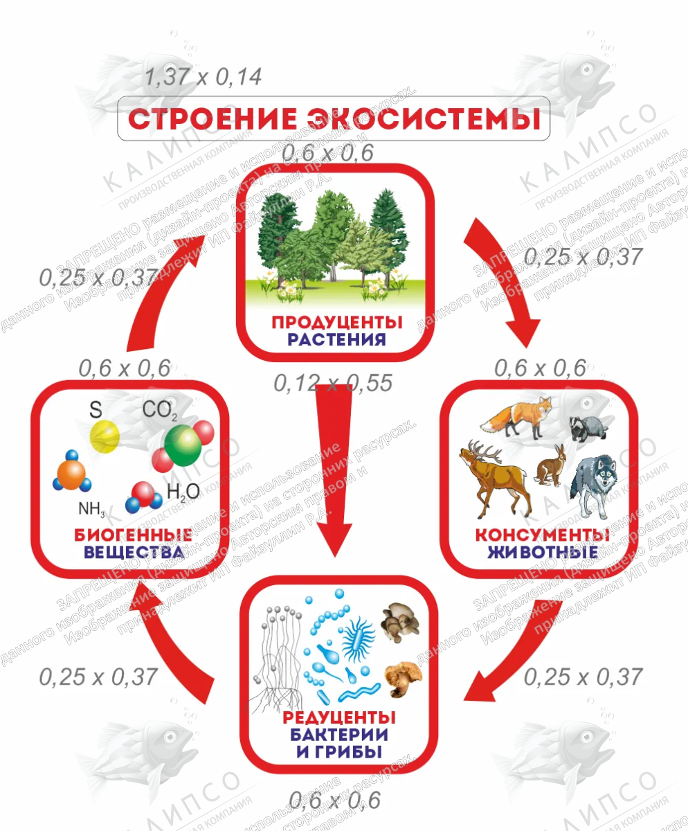 Комплект стендов "Строение экосистемы" арт. ШК-3899