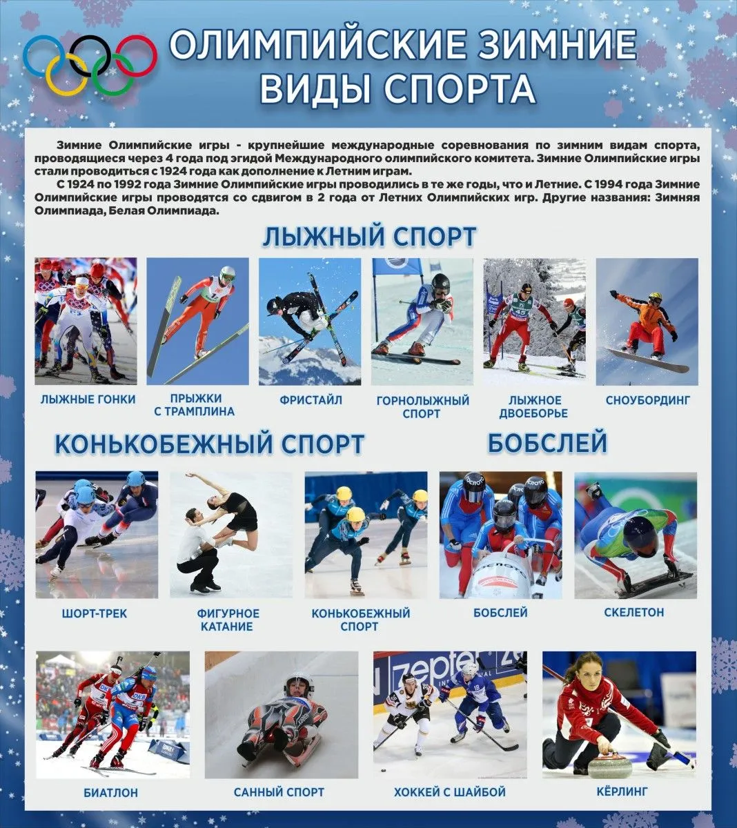 Зимние виды спорта — Википедия