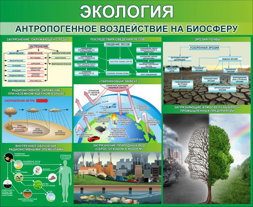 Антропогенное воздействие картинки