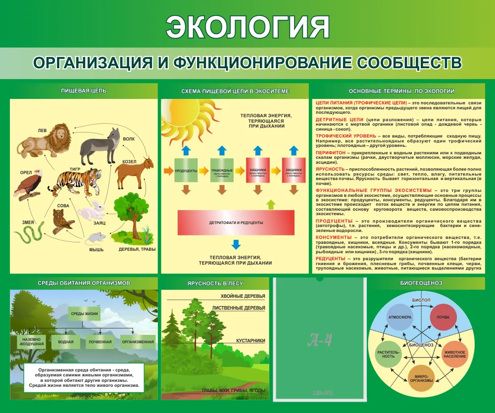 НАГЛЯДНОЕ ПОСОБИЕ ПО ЭКОЛОГИИ 