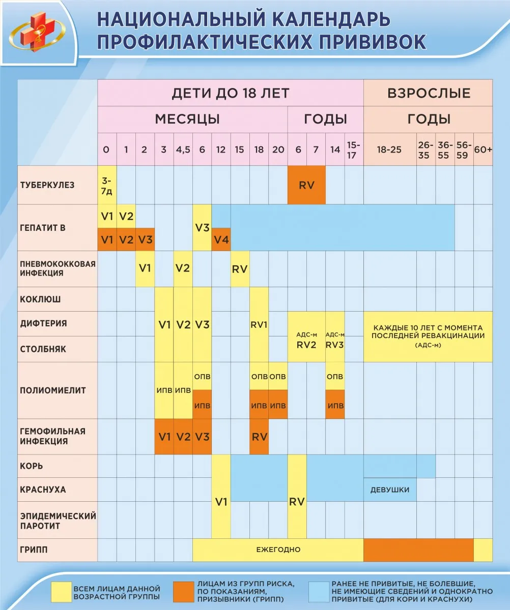 Нац календарь. Национальный календарь. Национальный календарь прививок. Нац календарь профилактических прививок. Календарь профилактических прививок для взрослых.